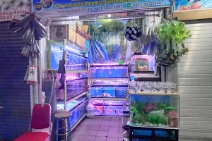 Pasar Ikan Hias image