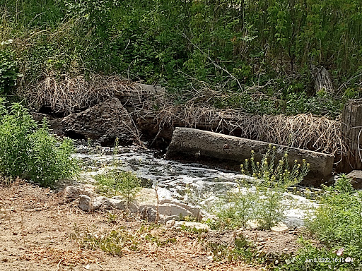 Nature Preserve «Bluff Lake Nature Center», reviews and photos, 3400 Havana Way, Denver, CO 80238, USA