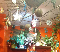 Café el Cerezo photo