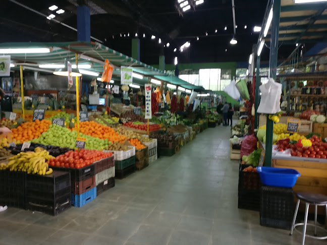 Opiniones de Feria Central Agricola en San Felipe - Centro comercial