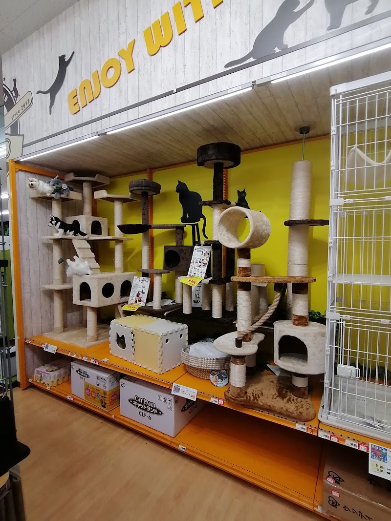 ペットワールドアミーゴ所沢牛沼店 埼玉県所沢市牛沼 ペットショップ ペット グルコミ