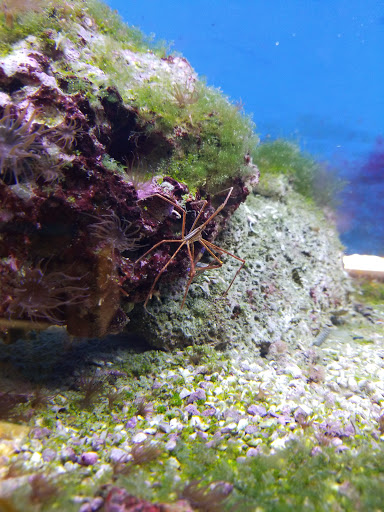 Pet Store «Pet World Warehouse Outlet», reviews and photos, 2984 S 108th St, Milwaukee, WI 53227, USA