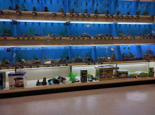 Pet Supply Store «PetSmart», reviews and photos, 79375 CA-111, La Quinta, CA 92253, USA