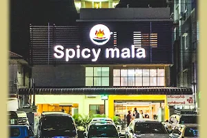 Spicy Mala image