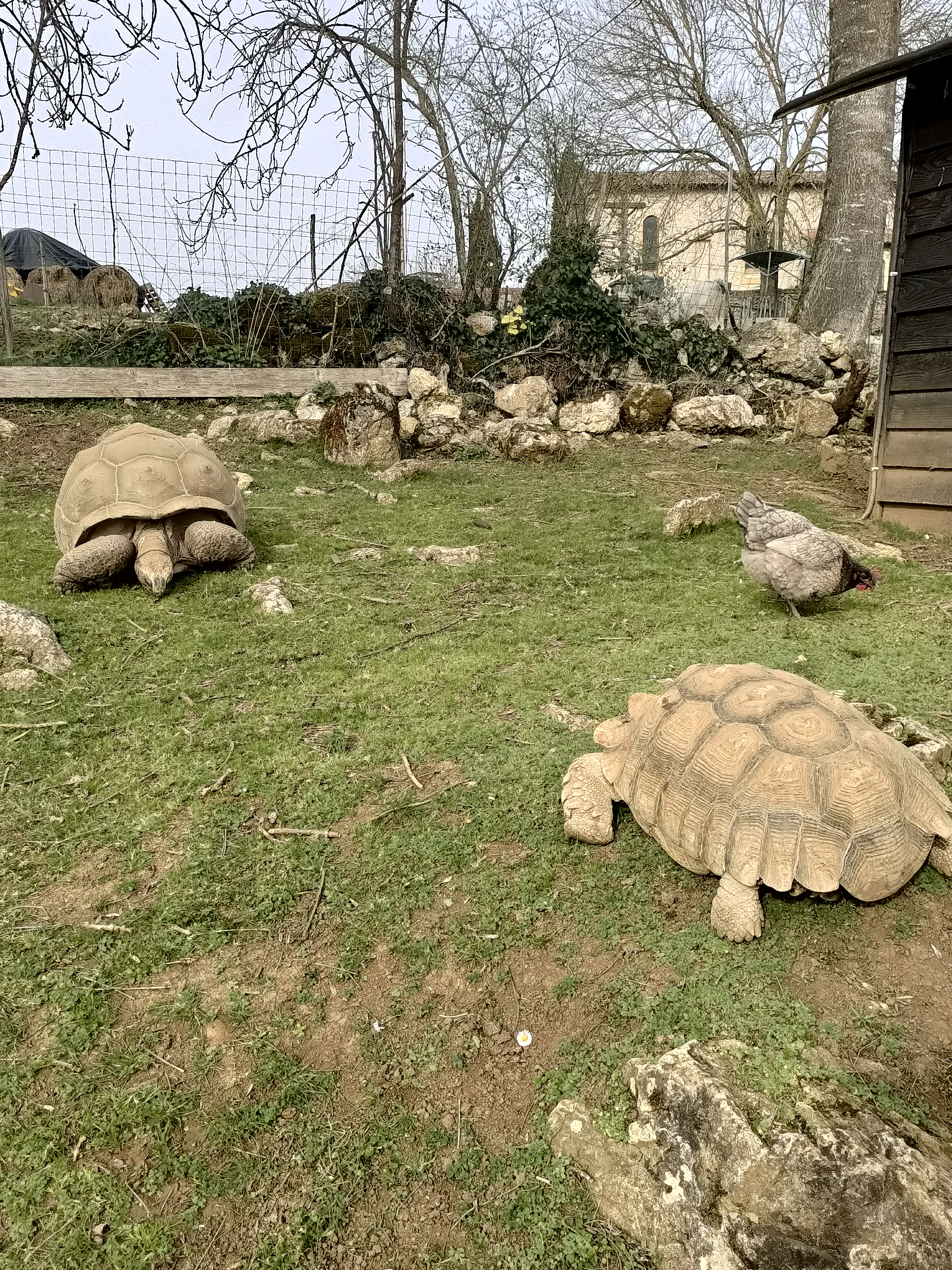 Photo n° 4 de l'avis de Dufau.a fait le 21/02/2024 à 14:51