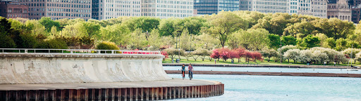 Trek Bicycle Store, 3416 IL-59, Naperville, IL 60564, USA, 