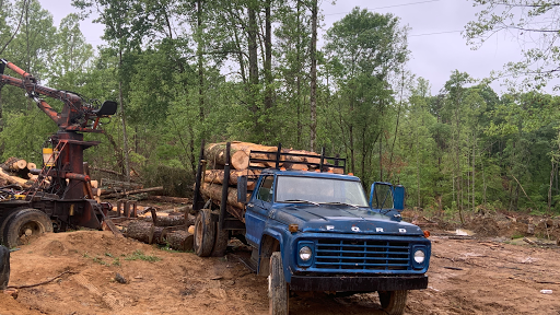 Still Creek Logging