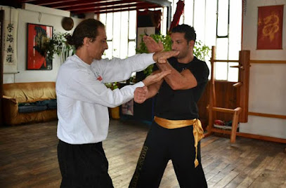 Athens Martial Arts Academy Wing Chun Kung Fu