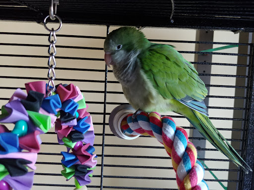 Pet Store «Birds & Beasts Pet Shop», reviews and photos, 35 Berkshire Dr # 18, Crystal Lake, IL 60014, USA