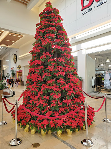 Outlet Mall «The Outlets at Bergen Town Center», reviews and photos, 1 Bergen Town Center, Paramus, NJ 07652, USA