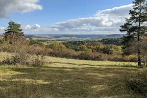 Büchelberg Nature Reserve image