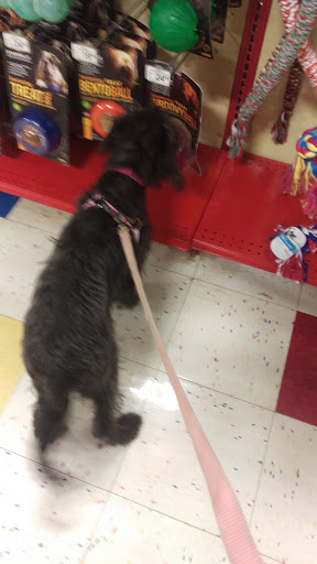 Pet Supply Store «Petco», reviews and photos, 590 E Waterfront Dr, Homestead, PA 15120, USA