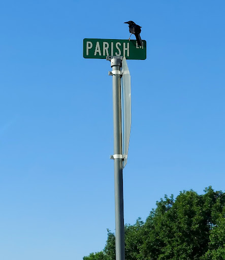 Recreation Center «Roanoke Recreation Center», reviews and photos, 501 Roanoke Rd, Roanoke, TX 76262, USA