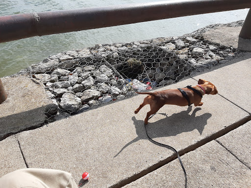 Park «Bowman Springs Park», reviews and photos, 7003 W Poly Webb Rd, Arlington, TX 76016, USA