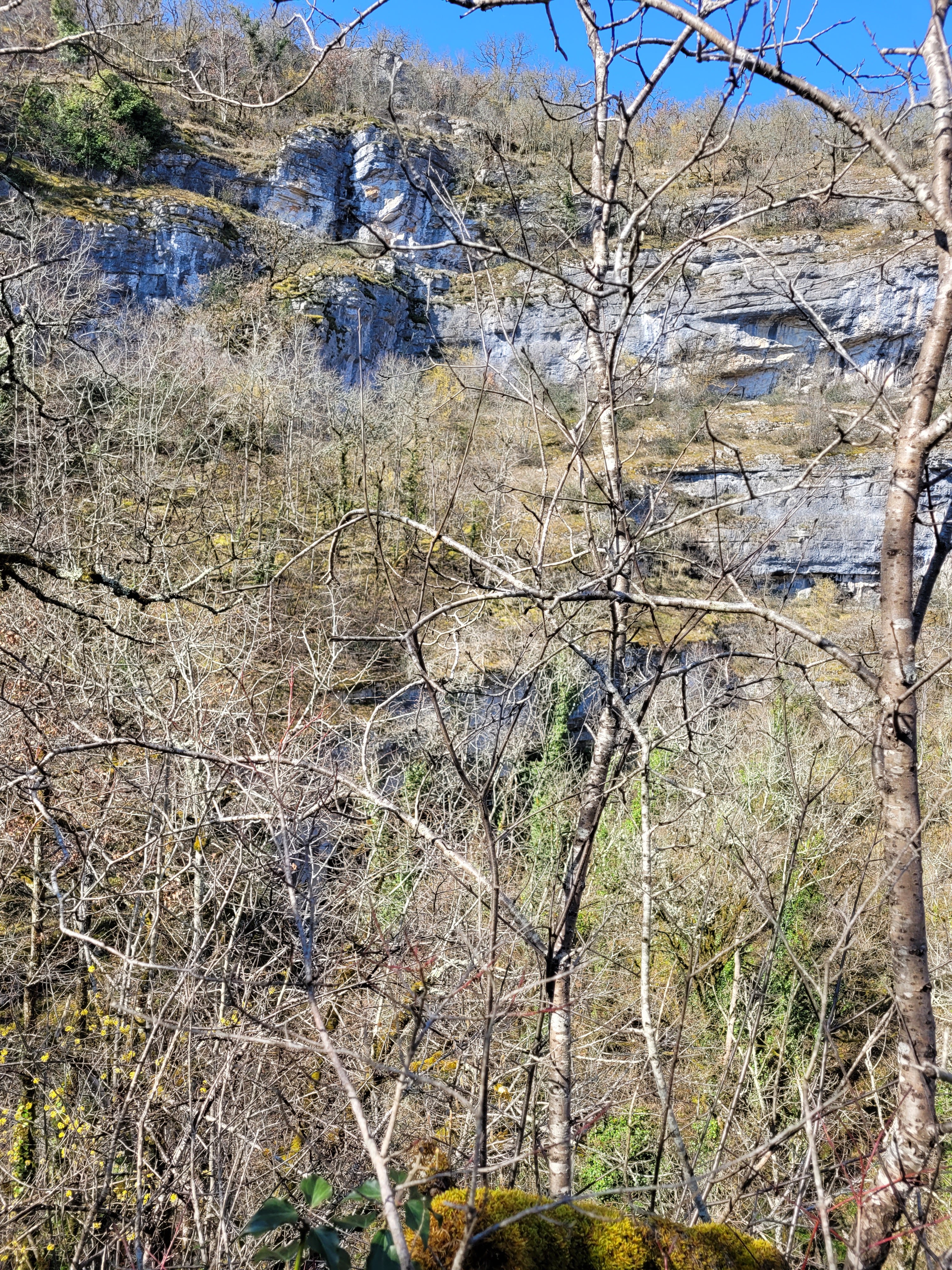 Photo n° 11 de l'avis de Mathieu.r fait le 11/03/2022 à 17:17
