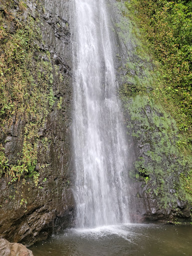 Waterfall hike and nature hike tours Honolulu