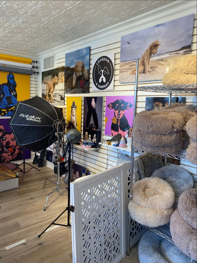 Pet Supply Store «Diggidy Dog», reviews and photos, Ocean Ave & Monte Verde St, Carmel-By-The-Sea, CA 93923, USA