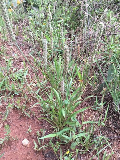 Nature Preserve «Jackson Nature Park», reviews and photos, 9284 County Rd 401, Stockdale, TX 78160, USA
