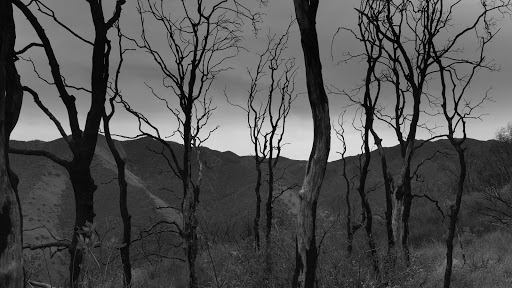 Nature Preserve «UC Davis - Stebbins Cold Canyon Natural Reserve», reviews and photos, CA-128, Winters, CA 95694, USA