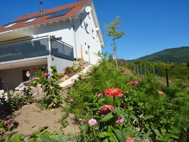 Gites Chez Schangala à Thannenkirch (Haut-Rhin 68)