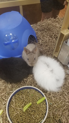 Pet Supply Store «Pet Supermarket», reviews and photos, 835 Blanding Blvd, Orange Park, FL 32065, USA