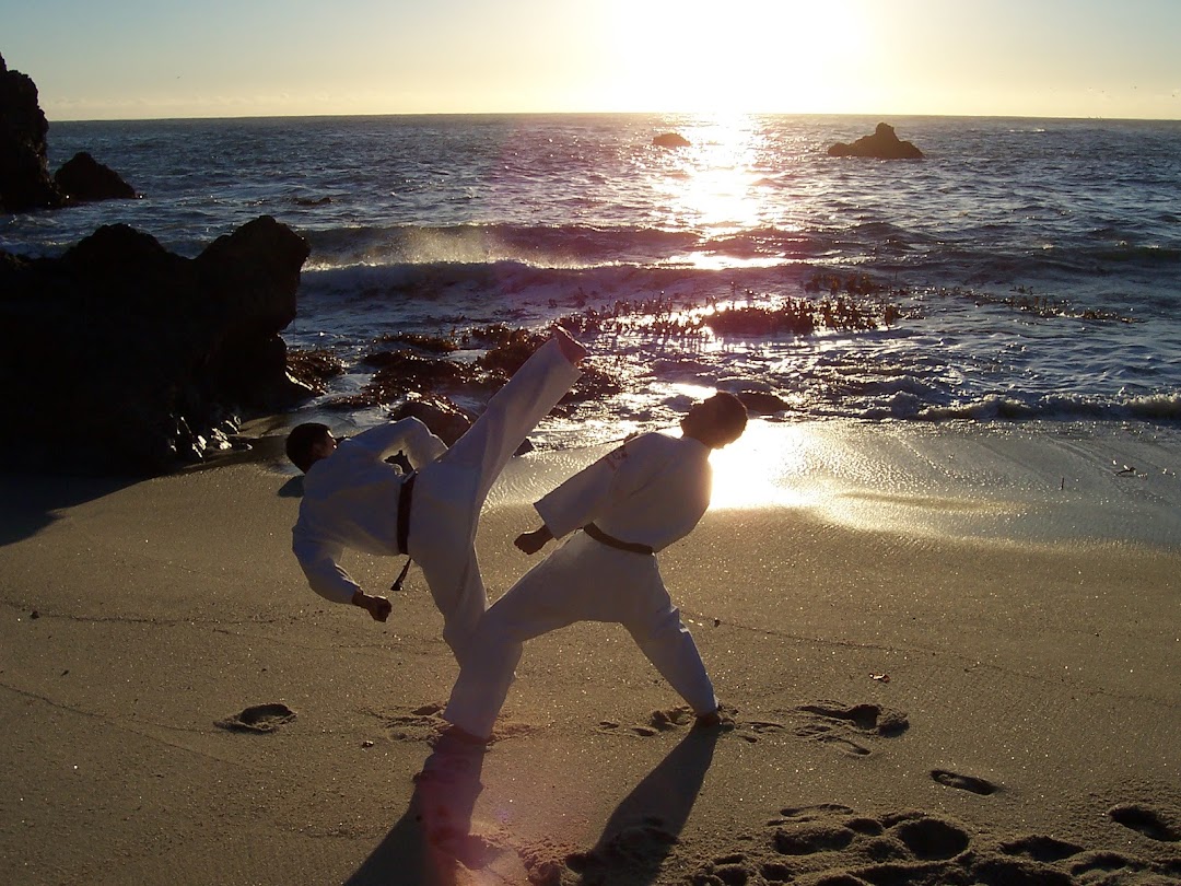 Renshinkan Karate Illinois