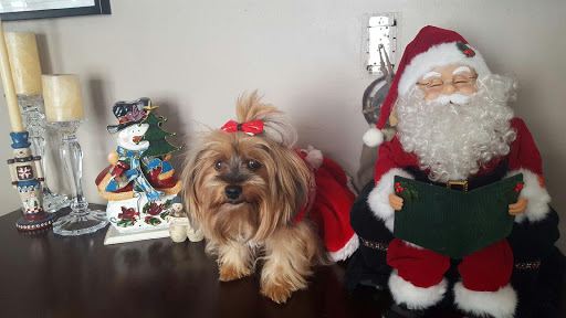 Pet Supply Store «PetSmart», reviews and photos, 12741 Towne Center Dr, Cerritos, CA 90703, USA