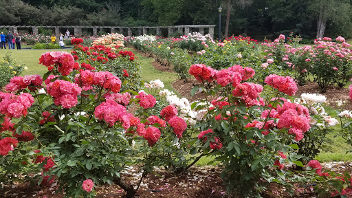 Performing Arts Theater «Raleigh Little Theatre», reviews and photos, 301 Pogue St, Raleigh, NC 27607, USA