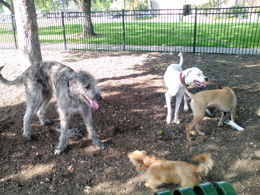 Park «Madison Square Park», reviews and photos, 400 Lexington Ave, San Antonio, TX 78215, USA