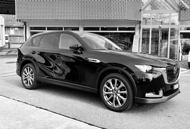 Zollgarage Rheintal AG - Davos