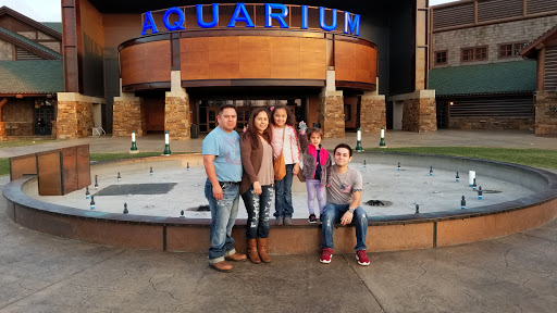 Aquarium «Wonders Of Wildlife National Museum & Aquarium», reviews and photos, 500 W Sunshine St, Springfield, MO 65807, USA