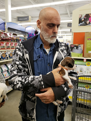 Pet Supply Store «PetSmart», reviews and photos, 3131 E Main St, Mohegan Lake, NY 10547, USA