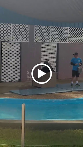 Educational Institution «Institute For Marine Mammal Studies», reviews and photos, 10801 Dolphin Ln, Gulfport, MS 39503, USA