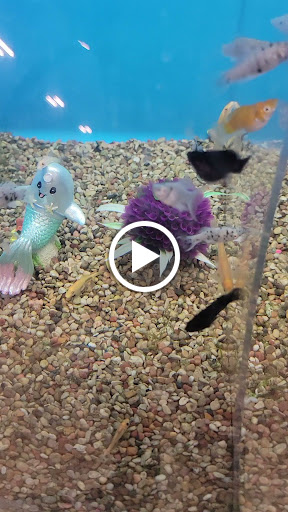 Pet Supply Store «Petco Animal Supplies», reviews and photos, 8100 W Crestline Ave d, Littleton, CO 80123, USA