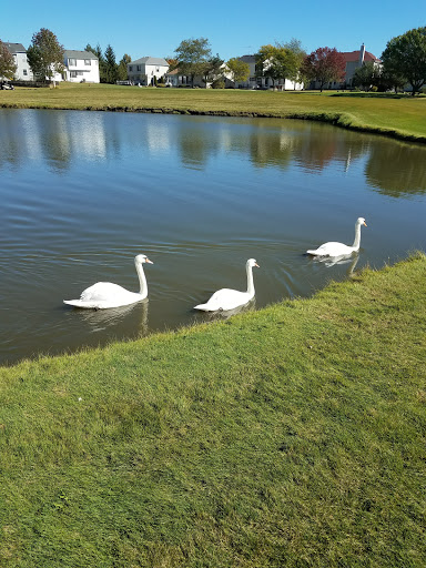 Golf Course «Streamwood Oaks Golf Club», reviews and photos, 565 Madison Dr, Streamwood, IL 60107, USA