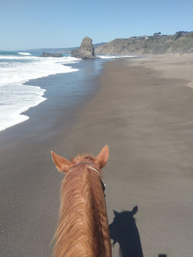 Stable «Ross Ranch», reviews and photos, 28300 Philo Greenwood Rd, Elk, CA 95432, USA