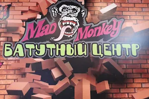 Батутный центр Mad Monkey image