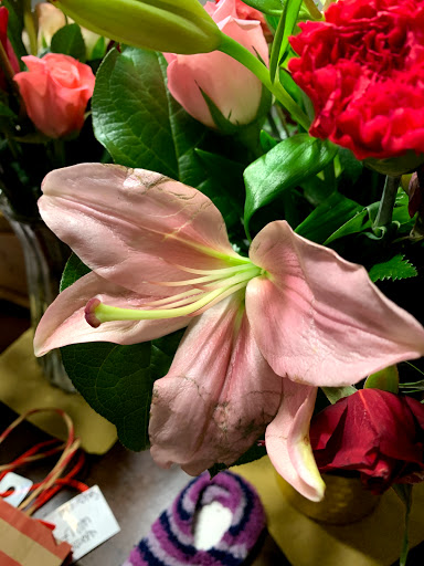 Florist «J C Snyder Florist», reviews and photos, 2900 Greenwood St, Harrisburg, PA 17111, USA