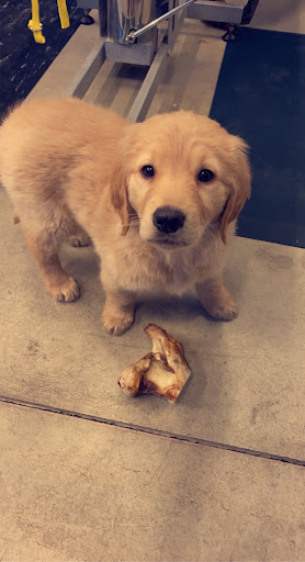 Pet Store «Healthy Pets Mountain West», reviews and photos, 2352 Fort Union Blvd, Cottonwood Heights, UT 84121, USA