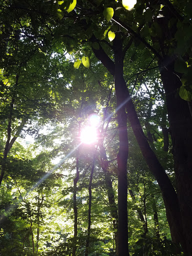 Museum «Audubon Museum & Nature Center», reviews and photos, 3100 US-41, Henderson, KY 42420, USA