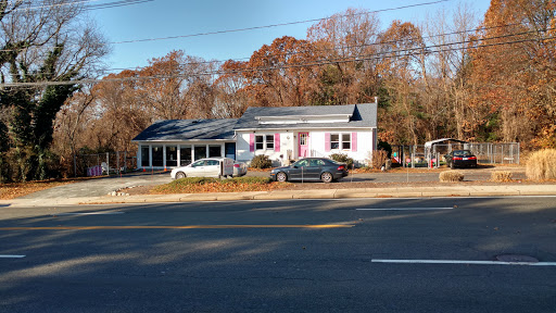 Care For Animals image