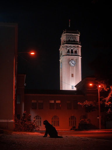 Universidad de Puerto Rico - Recinto de Río Piedras