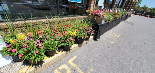 Grocery Store «Stop & Shop», reviews and photos, 420 White Plains Rd, Eastchester, NY 10709, USA