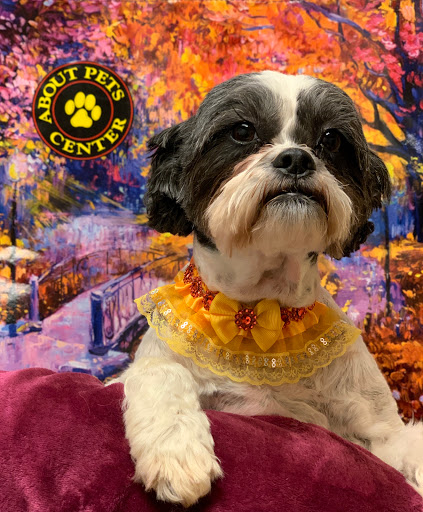 Pet Boarding Service «About Pets Center», reviews and photos, 1604 Conehurst Blvd, Salem, VA 24153, USA