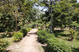 Botanic Garden Zanzibar image