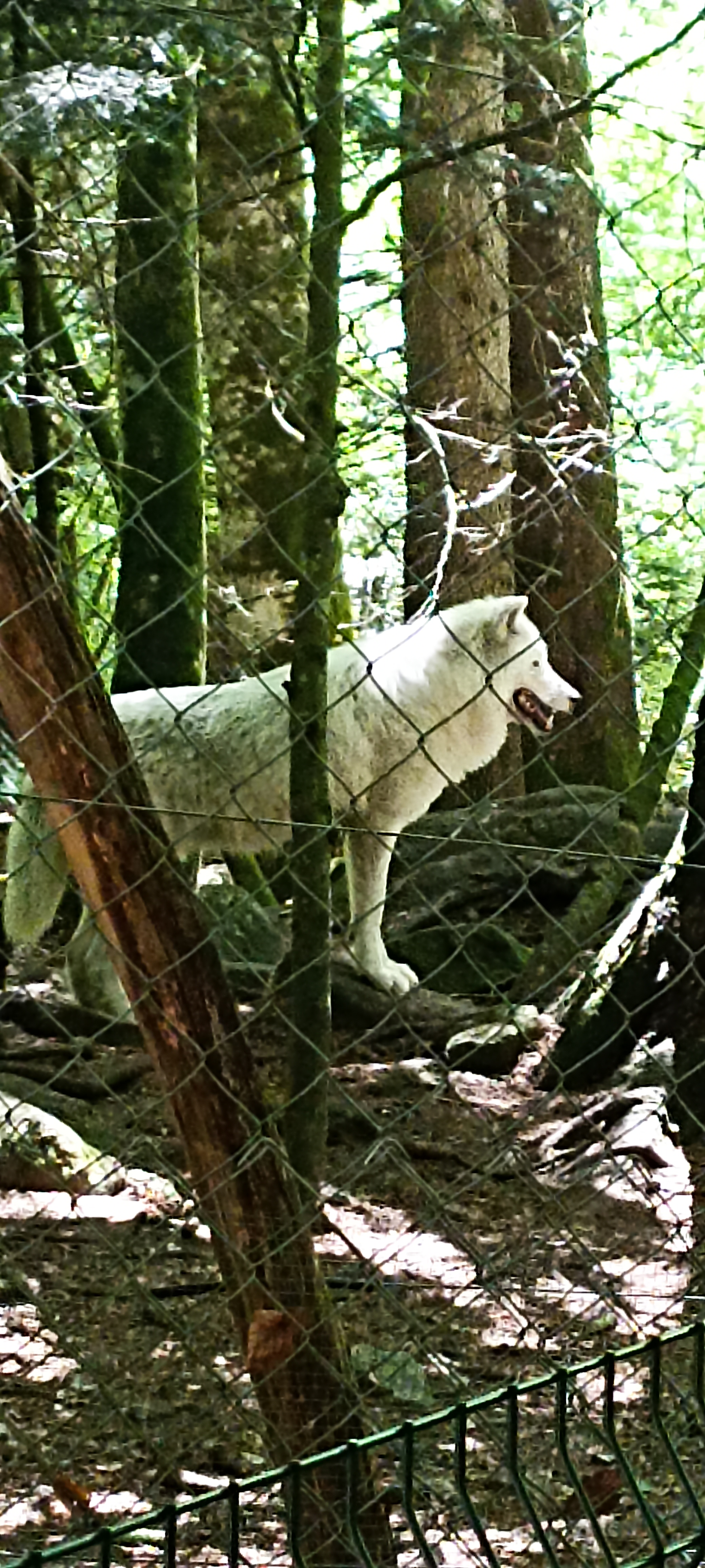 Photo n° 6 de l'avis de Corinne.l fait le 09/07/2022 à 19:05