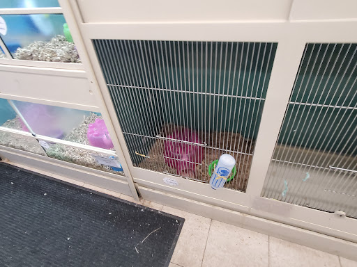 Pet Supply Store «Pet Supplies Plus», reviews and photos, 471 Boston Post Rd, Orange, CT 06477, USA