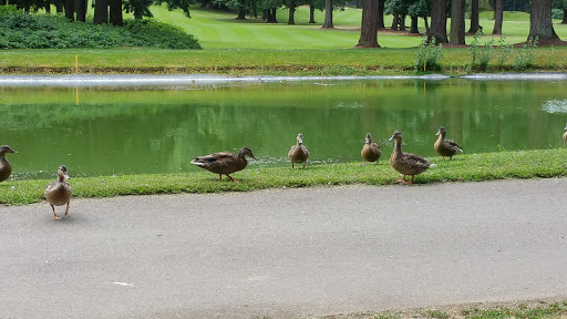 Golf Course «Glendoveer Golf & Tennis», reviews and photos, 14015 NE Glisan St, Portland, OR 97230, USA