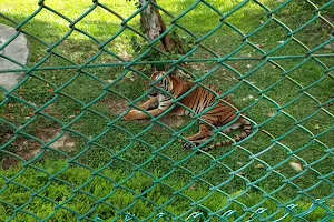 Taman Tumbina Zoo image