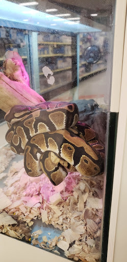 Pet Supply Store «PetSmart», reviews and photos, 2925 Lancaster Dr NE, Salem, OR 97305, USA